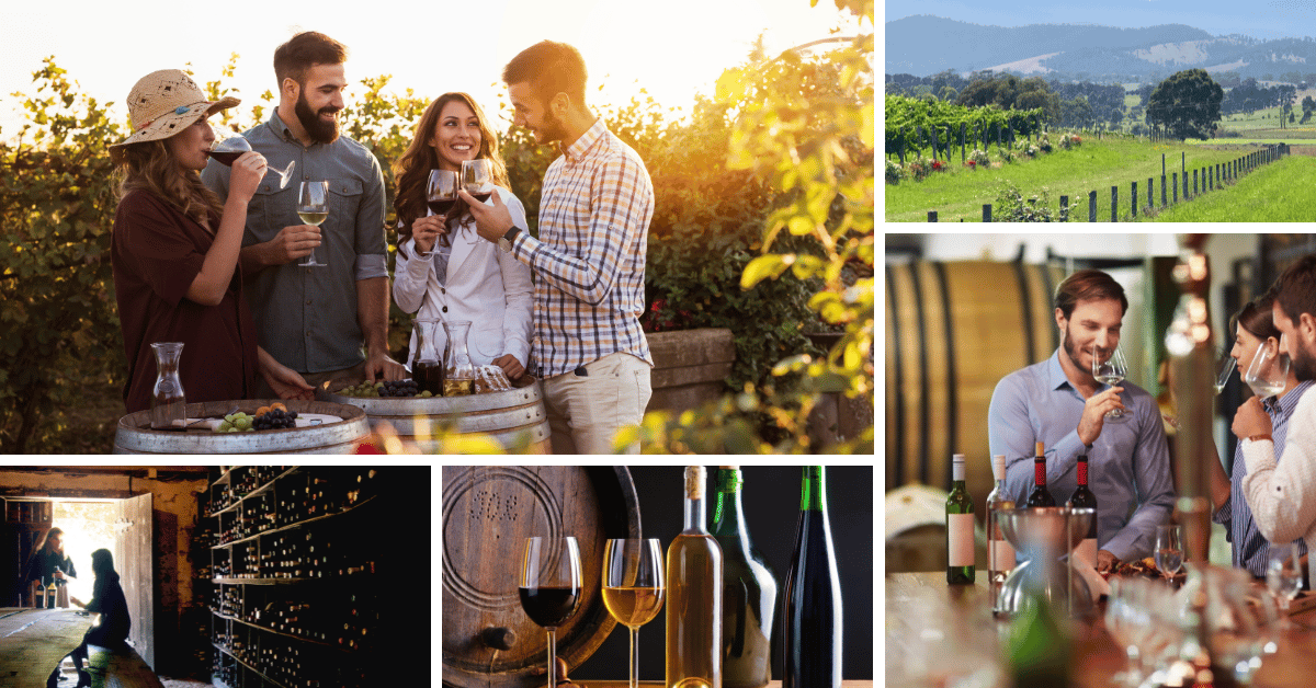 <span id="hs_cos_wrapper_name" class="hs_cos_wrapper hs_cos_wrapper_meta_field hs_cos_wrapper_type_text" style="" data-hs-cos-general-type="meta_field" data-hs-cos-type="text" >Winery Marketing: 5 Tactics to Generate More Tour Bookings</span>