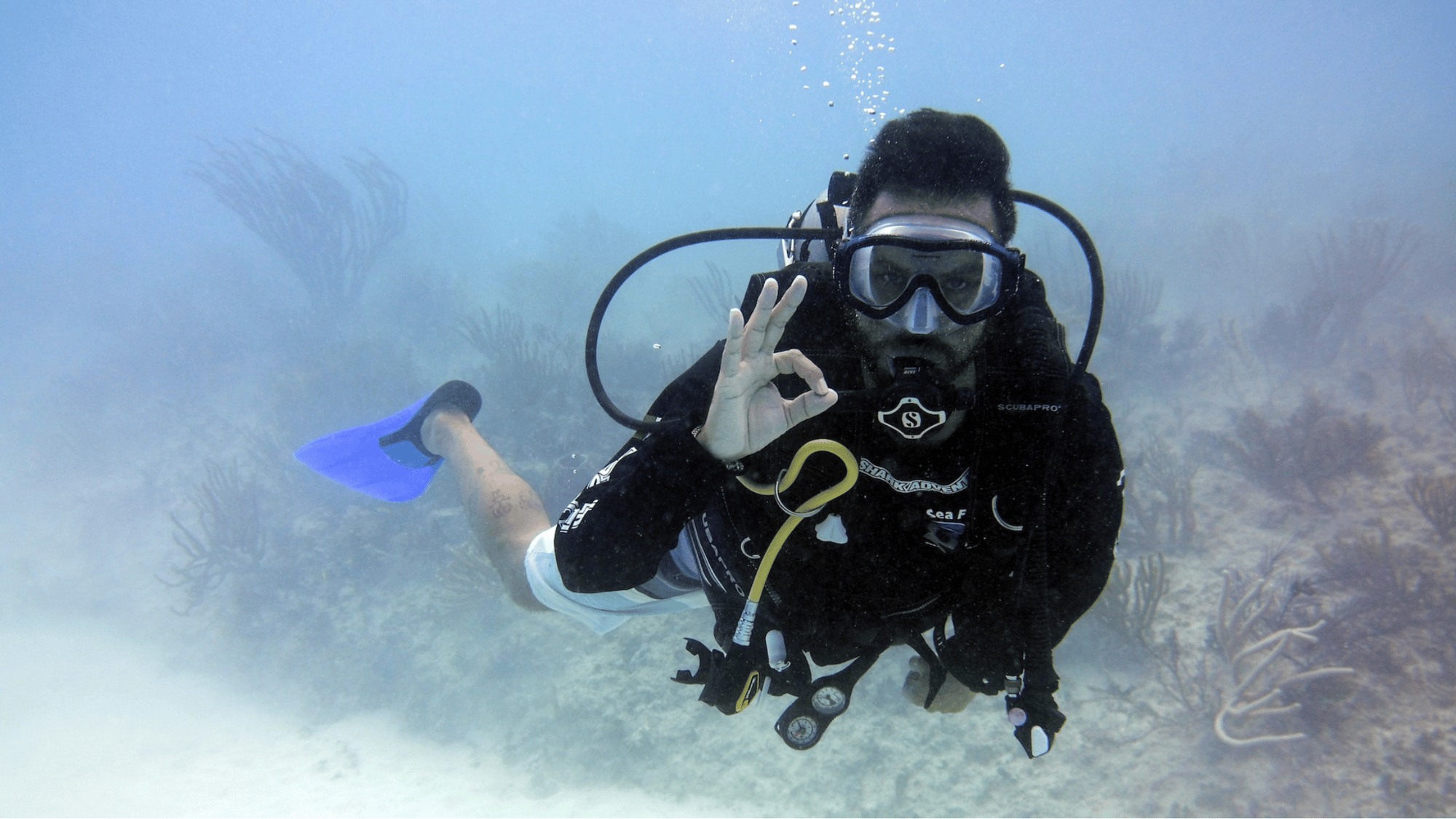 scuba guest and he is real!