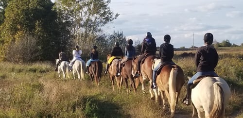 The Ranch - 2018-09-29-17-48-09-000-qweh