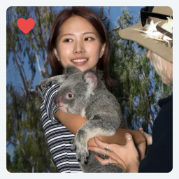 Favorite media of a woman holding a Koala