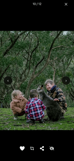 current-tops-whale.dev.fotaflo.com_3001_7tm5y_utm_campaign=admin&utm_content=guest+card+view+in+portal+link&utm_medium=referral&utm_source=fotaflo(iPhone 12 Pro)