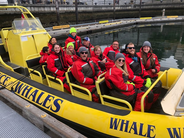 Prince of Whales Whale Watching -  Victoria