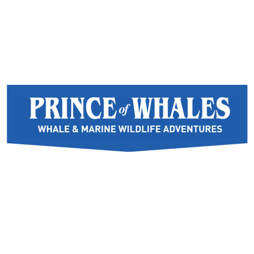 Prince of Whales