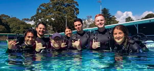 Abyss Scuba Diving  Lessons - 2018-11-12-10-05-38-000-ug6s