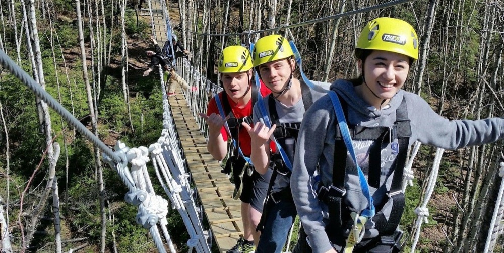 Youths on a suspension bridge