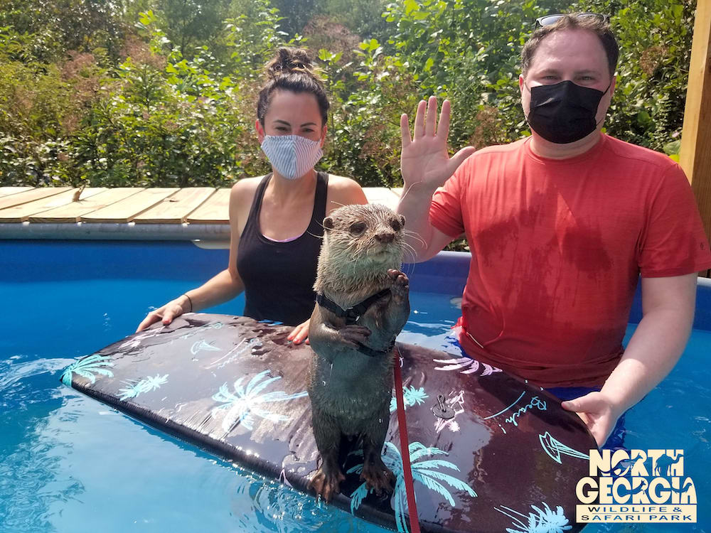 North Georgia Zoo