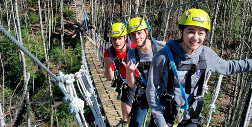 Youths on a suspension bridge